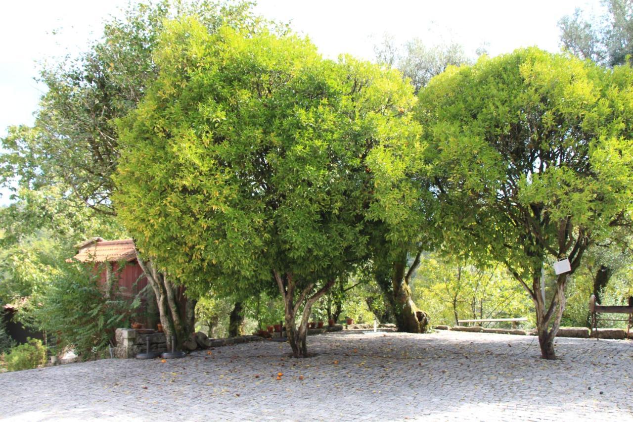 Hotel Rural De Charme Maria Da Fonte Póvoa de Lanhoso Εξωτερικό φωτογραφία