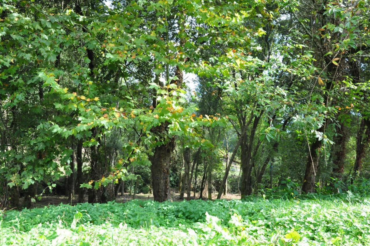 Hotel Rural De Charme Maria Da Fonte Póvoa de Lanhoso Εξωτερικό φωτογραφία